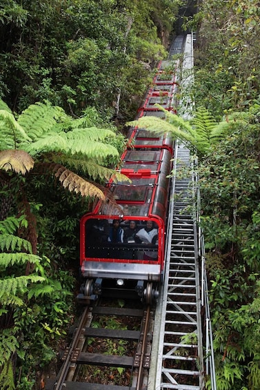 Picture 1 for Activity Sydney: Blue Mountains Tour Inc Secluded Lookouts Waterfalls 3