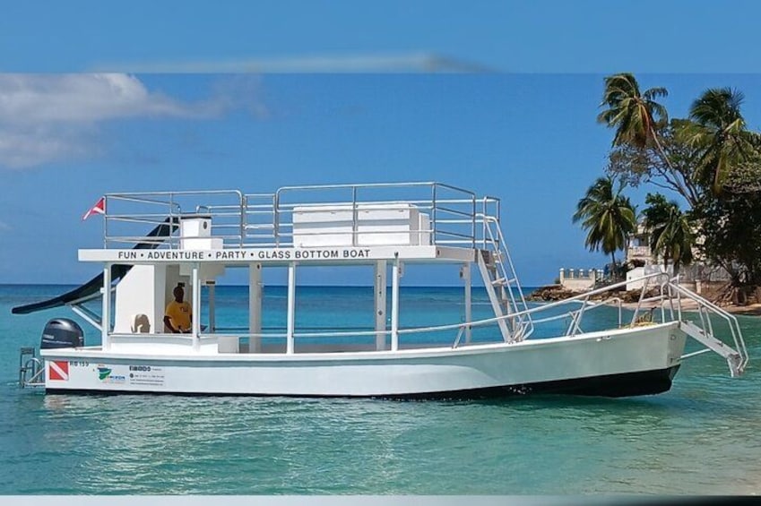 2 Hours Turtle Feeding, Shipwreck & Reef Snorkeling Tour Barbados 5