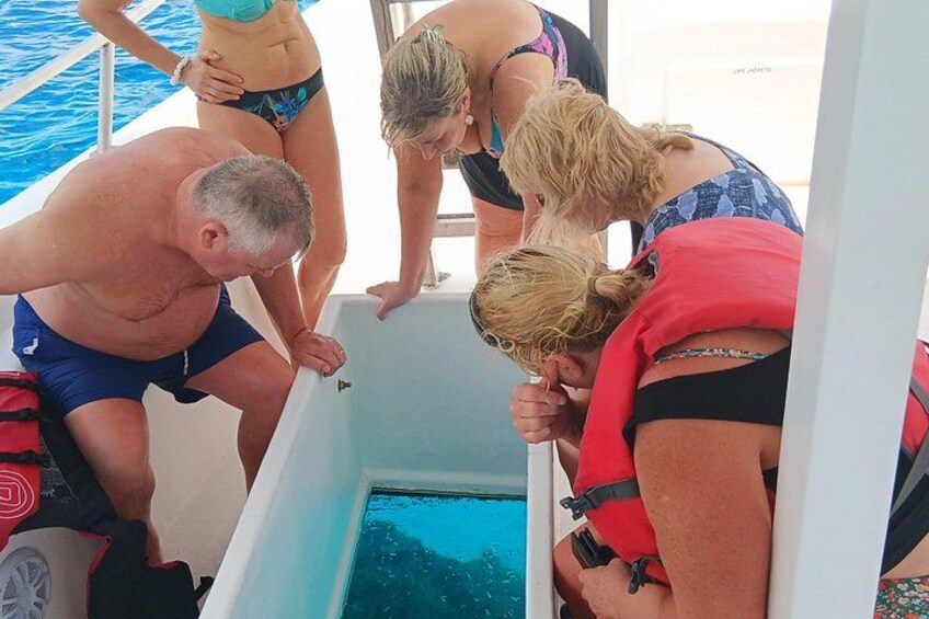 Viewing the shipwreck through the glass -Totally AMAZING 4