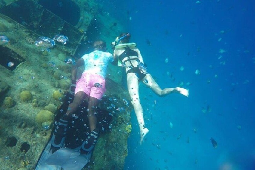 2 Hours Turtle Feeding, Shipwreck & Reef Snorkeling Tour Barbados 3