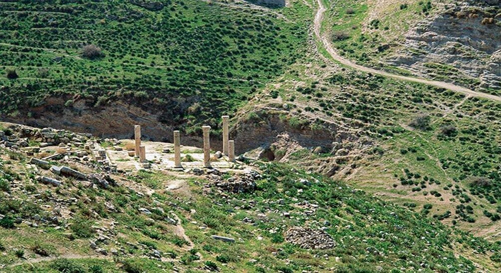 Picture 3 for Activity Private Full Day Trip of Umm Qais, and Pella from Amman 2