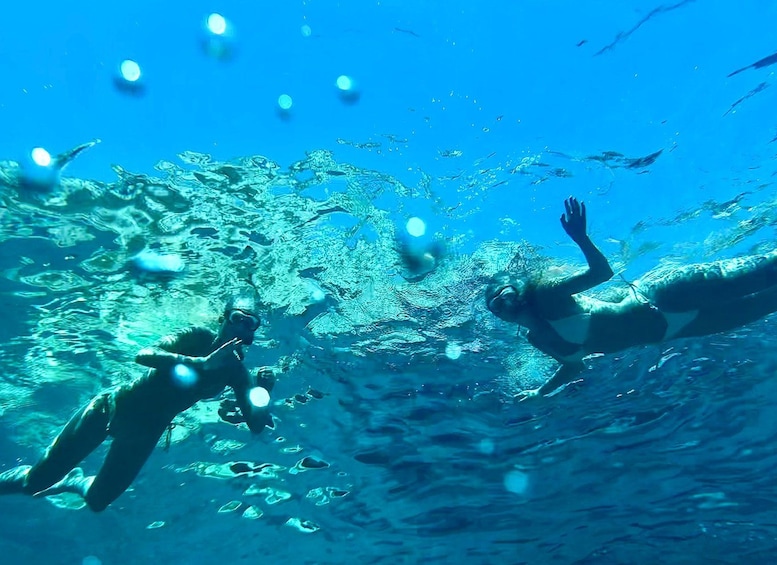 Two people swimming underwater. 3