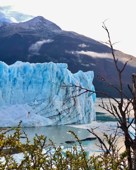Picture 1 for Activity Perito Moreno Glacier: Private Trip from El Calafate 2