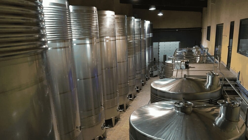 Picture 6 for Activity Visit to the Adegas Valmiñor winery and tasting 5