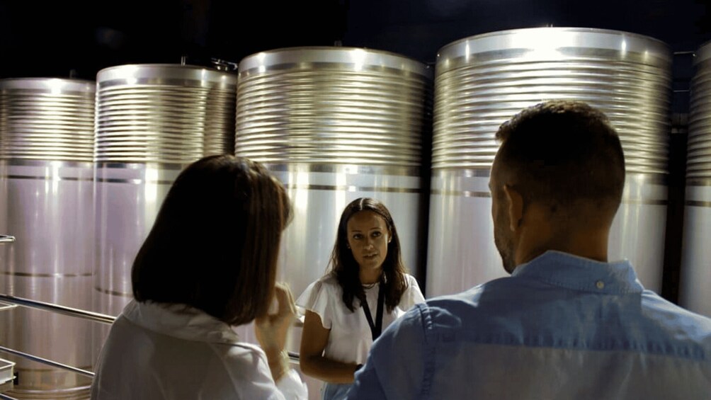 Picture 2 for Activity Visit to the Adegas Valmiñor winery and tasting 4