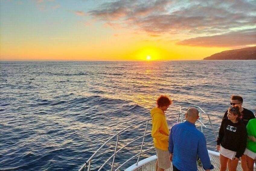 Sunset Cruise with Dinner on Board 4