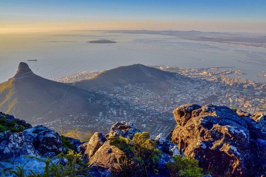 Robben Island Tour from Cape Town Pre-Booked Tickets &Transfers 4
