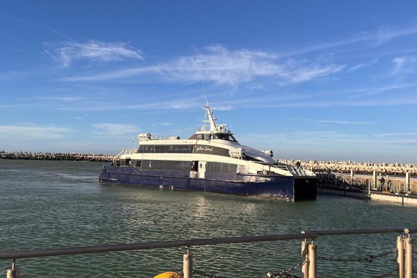 Robben Island Tour from Cape Town Pre-Booked Tickets &Transfers 4