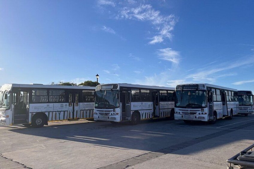Robben Island Tour from Cape Town Pre-Booked Ticket and Transfers 5