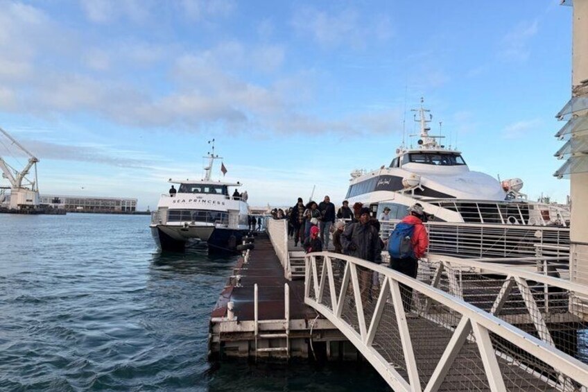 Robben Island Tour from Cape Town Pre-Booked Tickets &Transfers 2