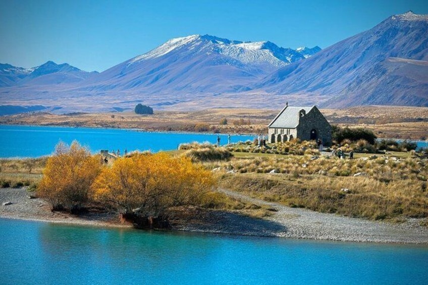 Mt Cook to Christchurch One-Way Small Group Tour via Lake Tekapo 4