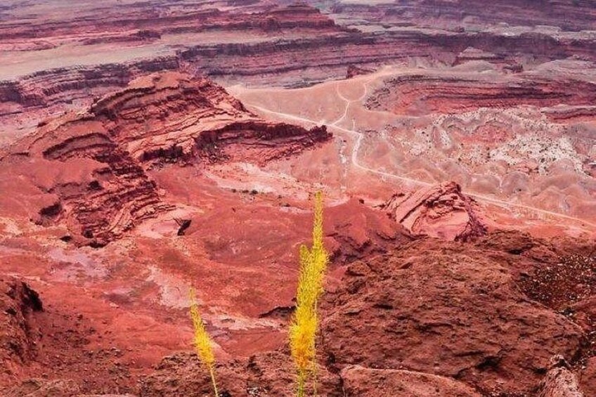 Un vasto cañón con formaciones rocosas estratificadas y una carretera que lo atraviesa. 4