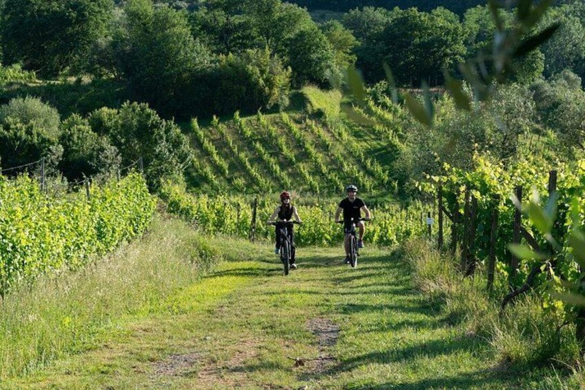 Montecarlo E-Bike One Day Tour with Lunch and Tasting 1
