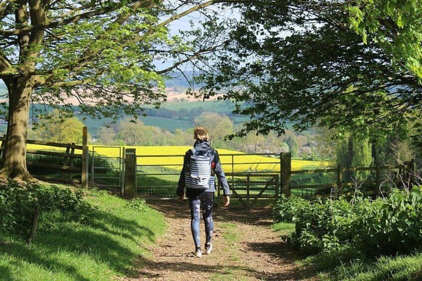Private Full Day Tour to Cotswolds from London 4