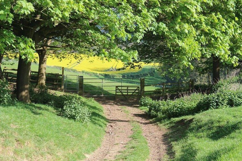 Private Full Day Tour to Cotswolds from London 3