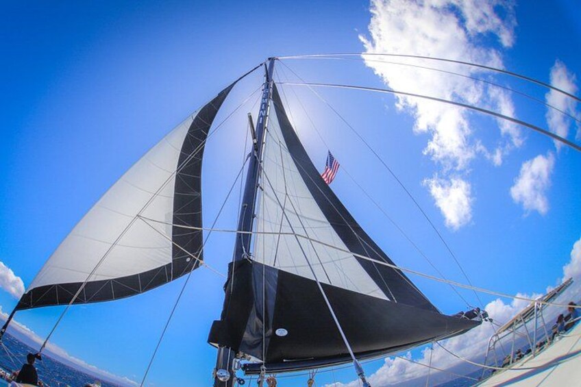 En segelbåt med ett stort segel och en amerikansk flagga, avbildad mot en klarblå himmel med moln. 2