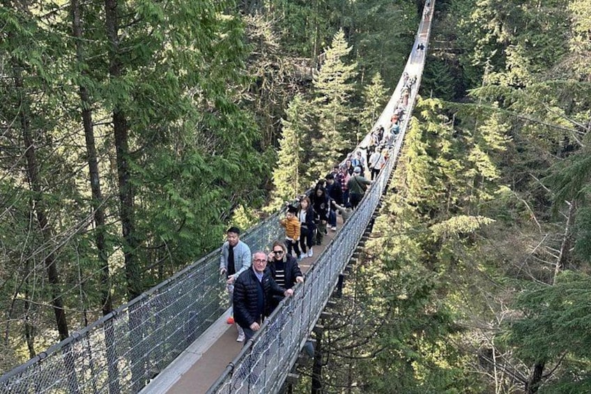 Private Guided Grand City Tour in Vancouver with your luggage 2