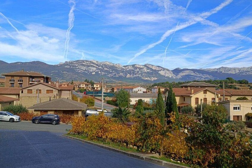Private Rioja Wine Tour from San Sebastián & Laguardia Village 3