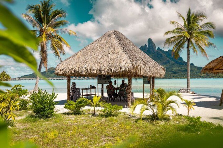 A beach with a thatched hut, palm trees, and a mountain in the background. 5
