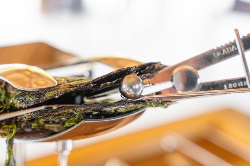 A pair of scissors with a metal ball on the handle, placed on a wooden surface. 4