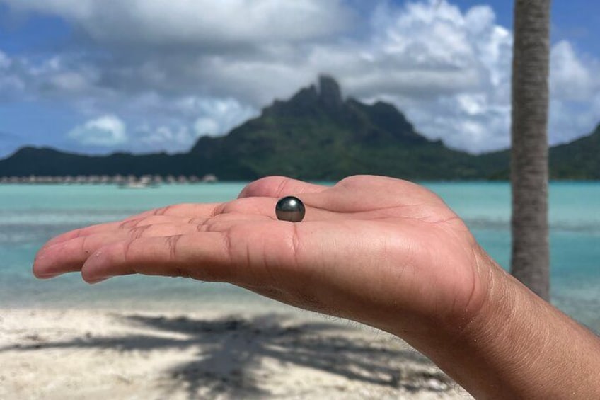 A hand holding a small black object against a tropical beach backdrop with clear skies and distant mountains. 2
