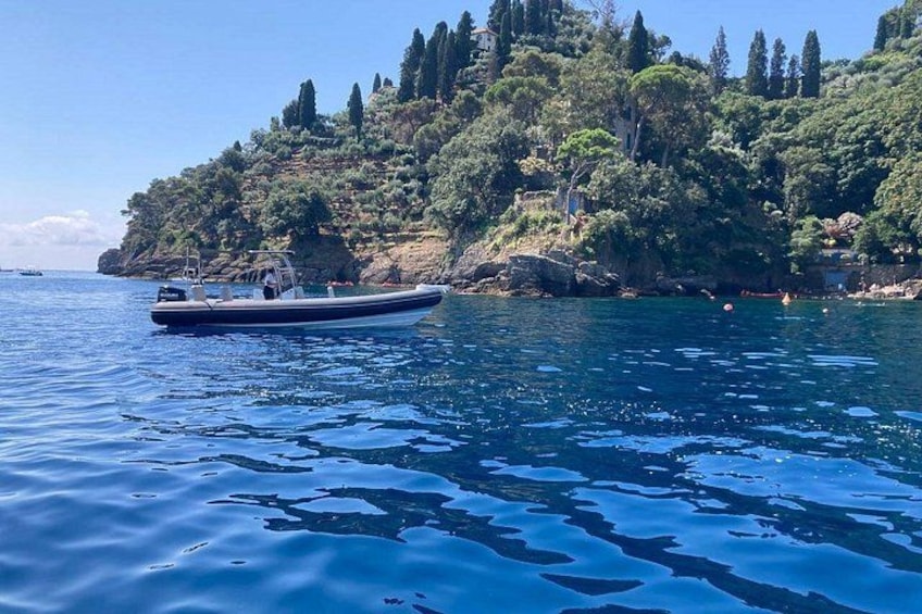 Un bote sobre aguas tranquilas, una costa rocosa y árboles verdes y frondosos. 4