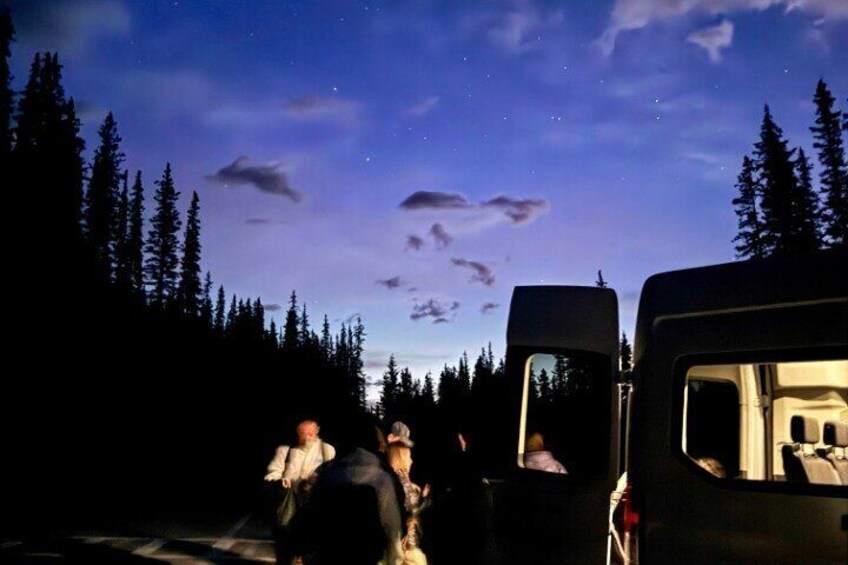 Un grupo de personas en un vehículo, con un cielo estrellado y árboles al fondo. 3