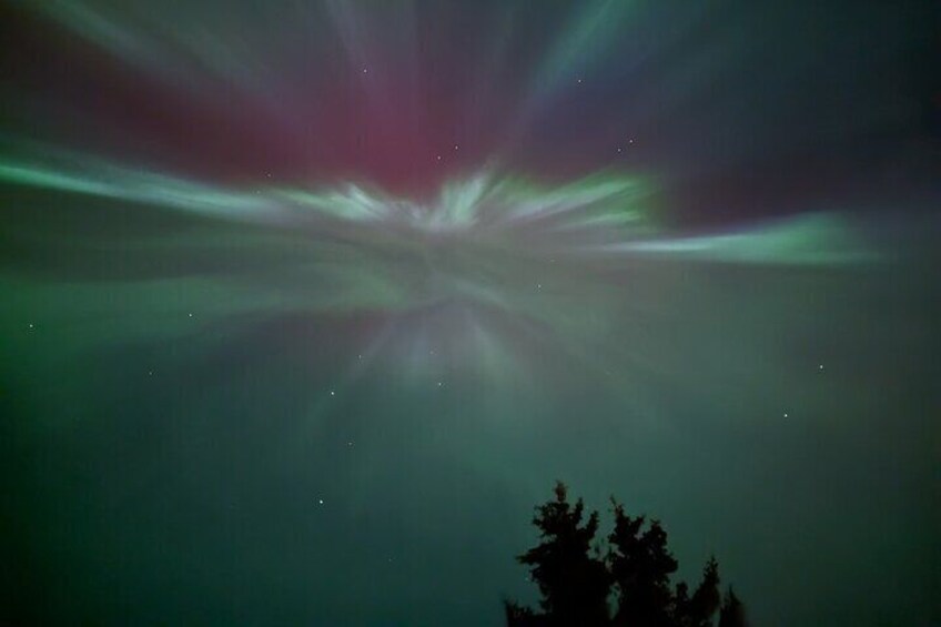 Auroras boreales sobre un área boscosa. 2