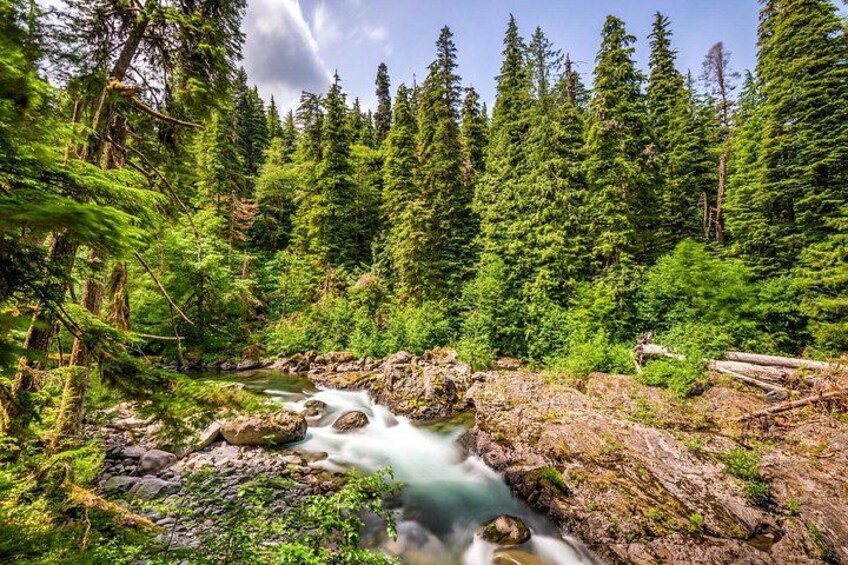Sol Duc River 3