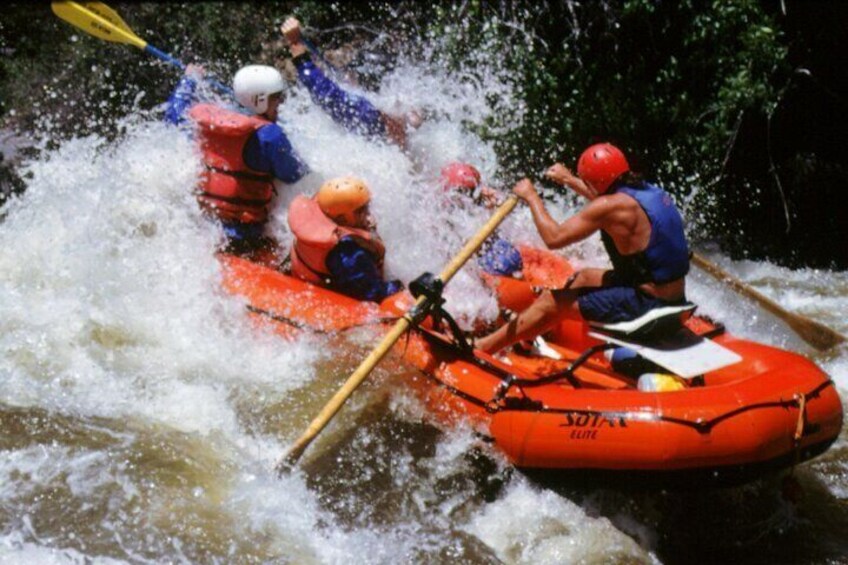 Rogue River Whitewater- Half Day Rafting