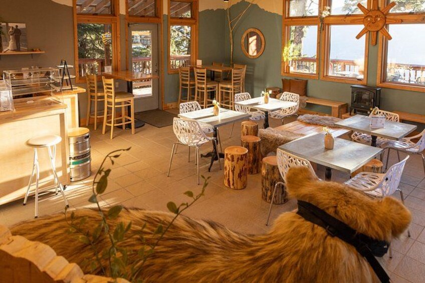 The Tr'Ale House 1