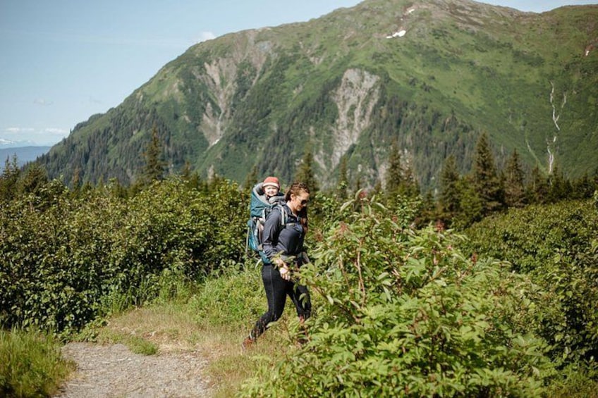 Hiking Trails 2