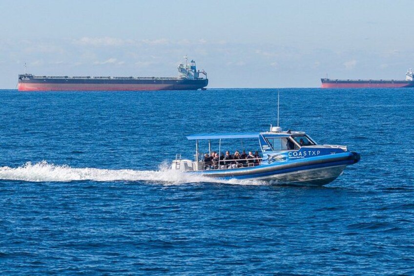 Whale Watching Discovery Tour from Lake Macquarie 2