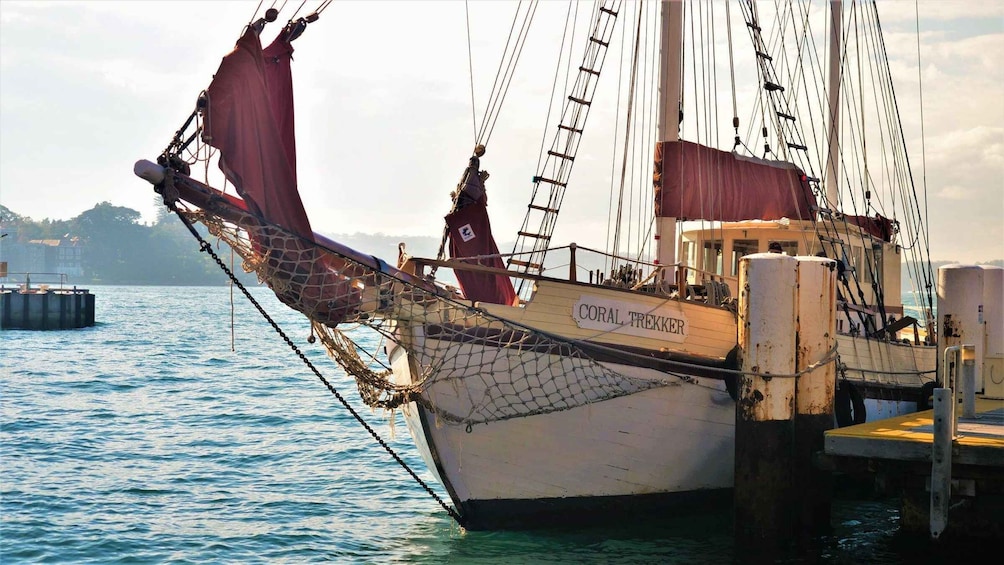 Twilight Dinner Cruise on Coral Trekker 1