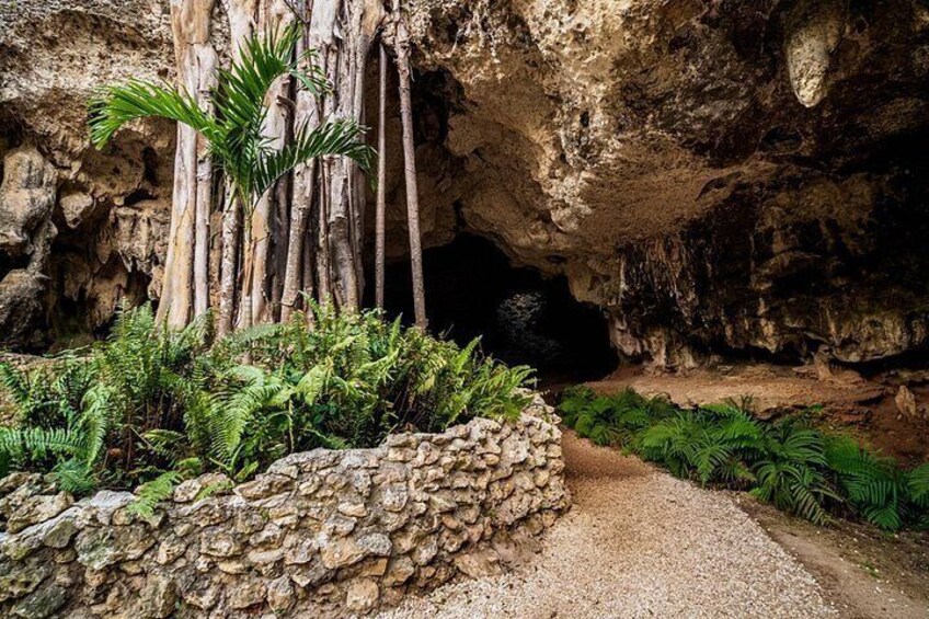 Grand Cayman: Stingray City, Starfish Point & Crystal Caves 2