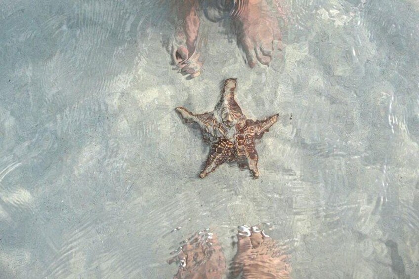 Grand Cayman: Stingray City, Starfish Point & Crystal Caves 5