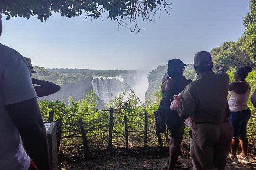 Victoria Falls 2