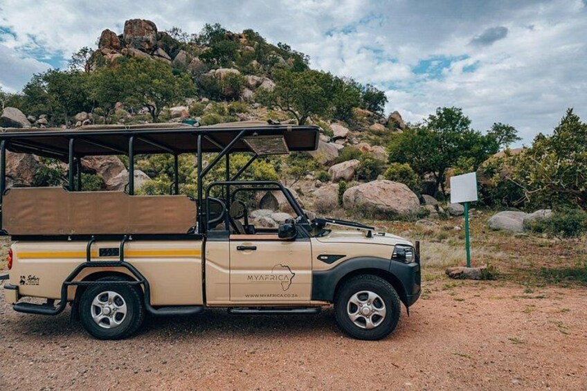 Amazing Full Day Kruger National Park Big 5 Safari 2
