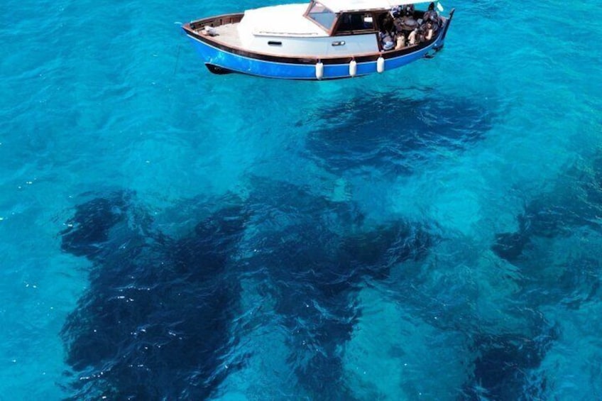 Cagliari : Excursion Hidden Beaches - Aperitif - Swimming stops 4
