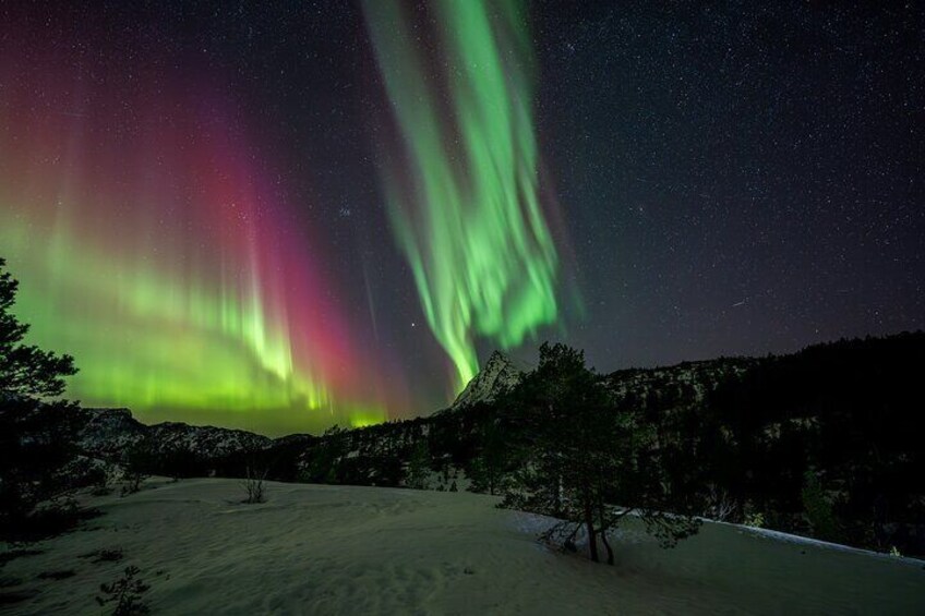 Photo: Nordland Adventures, Bodø 3
