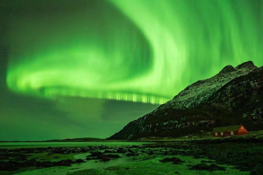 A house near a coastline with a green aurora display in the sky. 1
