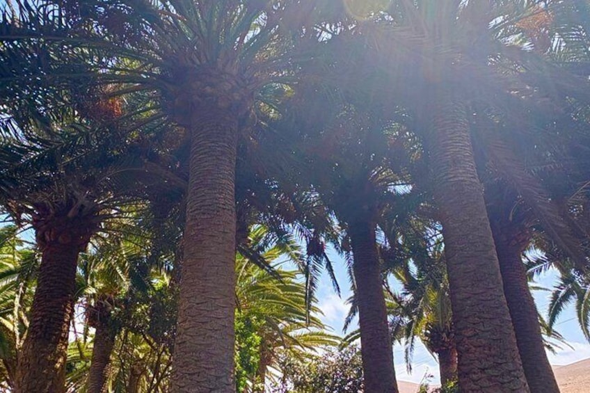 Fuerteventura The Ultimate Private South Coast Experience 4