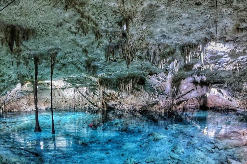 3 in 1 Private Tour Tulum Cenote and Snorkeling in the reef 2