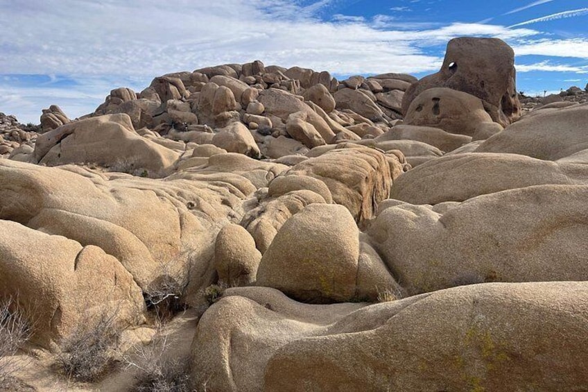 Joshua Tree National Park Private Sightseeing Adventure Tour 2