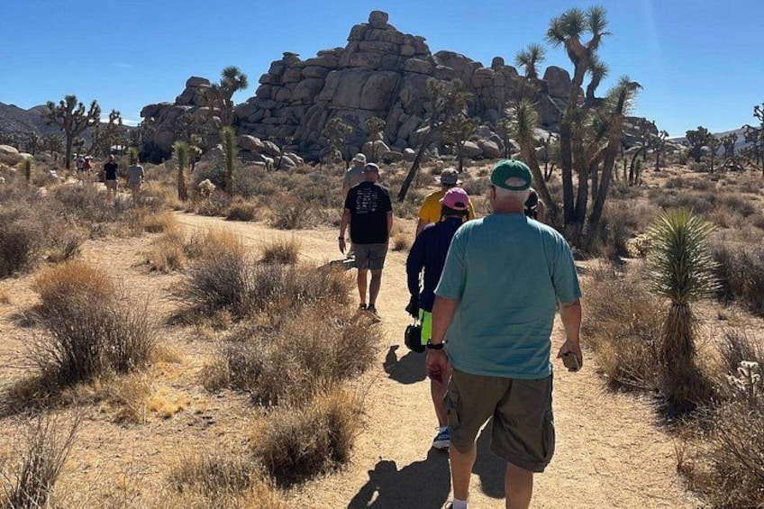 Joshua Tree National Park Private Sightseeing Adventure Tour 4