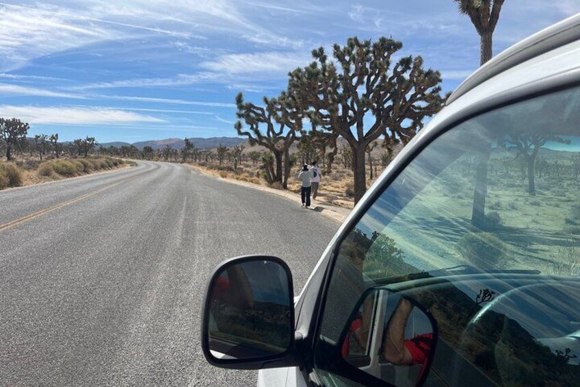 A road with a car's side mirror reflecting a person walking on the side. 1