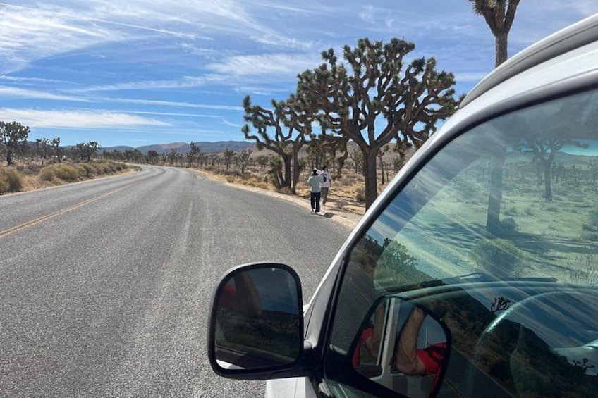 Joshua Tree National Park Private Sightseeing Adventure Tour 1