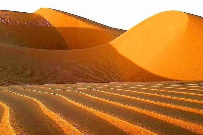 Full-Day Private Wadi Bani Khalid and Wahiba Sanda Desert /Sunset 5