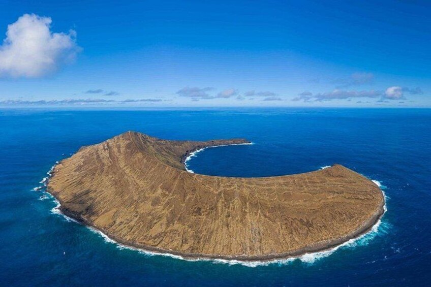 Scuba Dive at Ni’ihau (Forbidden island) 2