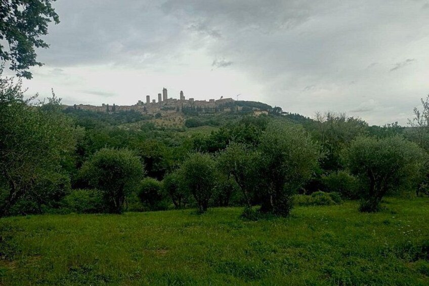 A grassy field with trees and a distant hill with buildings. 2
